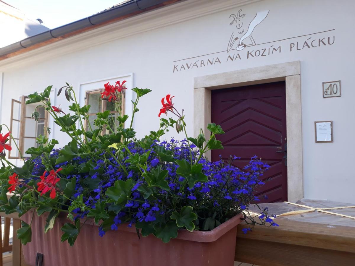 Apartment Cafe Kozi Placek